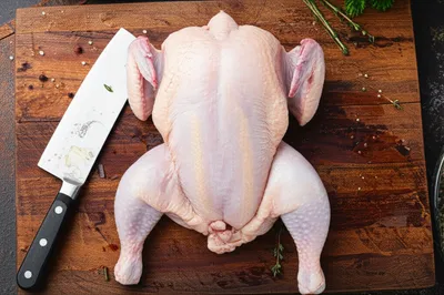 Illustration frogged - Image 1