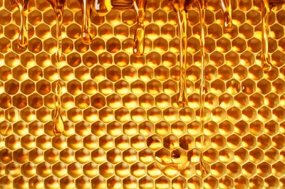 Illustration sugar - Image 1