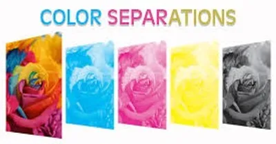 Illustration separation - Image 2