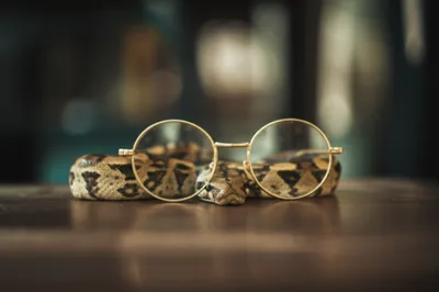 Illustration spectacle - Image 1