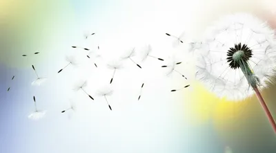 Illustration disperse - Image 1