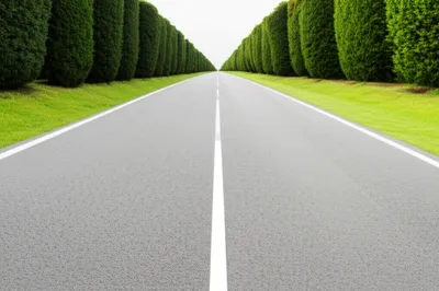 Illustration blind - Image 1