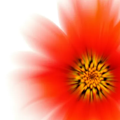 Illustration refocus - Image 1