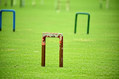 Illustration stake - Image 1