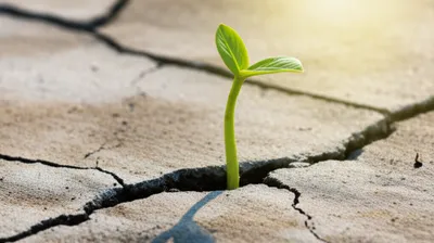 Illustration struts - Image 1