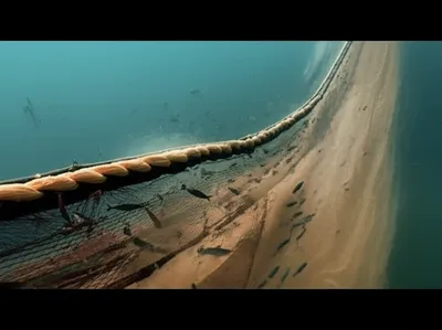 Illustration trawl - Image 1