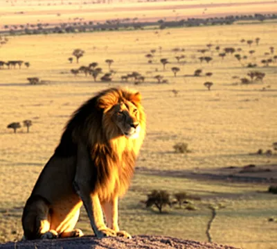 Illustration lordly - Image 1