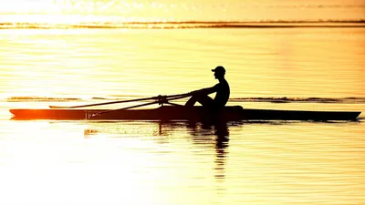 Illustration sculling - Image 1