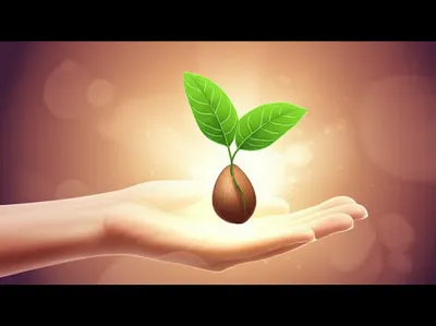 Illustration infusion - Image 1