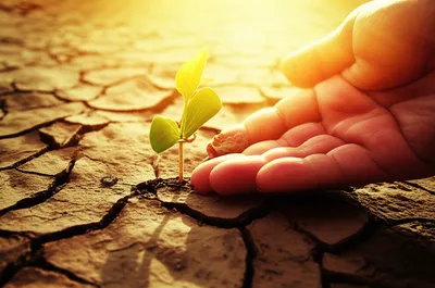 Illustration furthering - Image 1