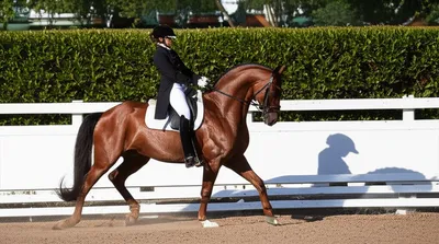 Illustration manage - Image 1