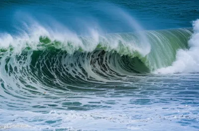 Illustration regurgitate - Image 1