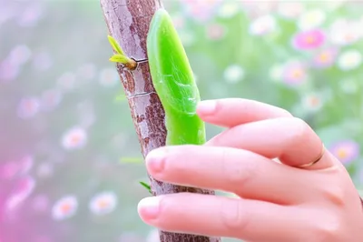 Illustration traumatic - Image 1