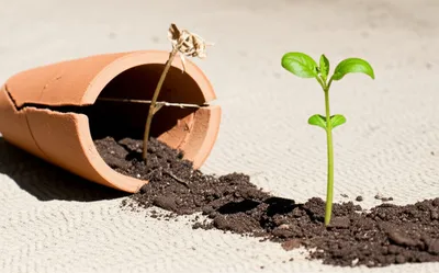 Illustration splitting - Image 1