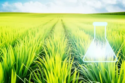 Illustration agrochemicals