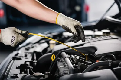 Illustration dipped - Image 1