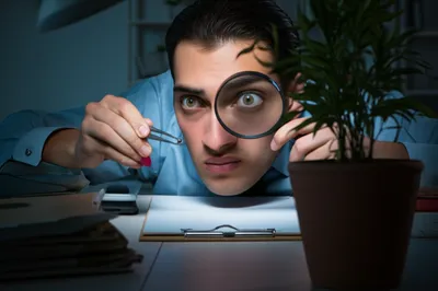 Illustration debug - Image 1