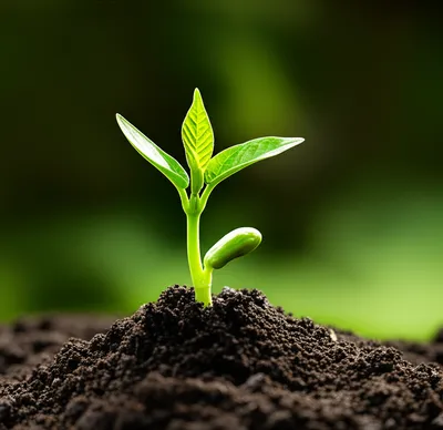 Illustration new - Image 1