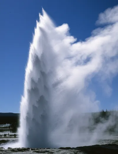 Illustration spouting - Image 1