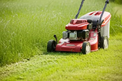 Illustration polling - Image 1