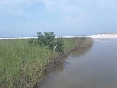 Illustration salt - Image 2