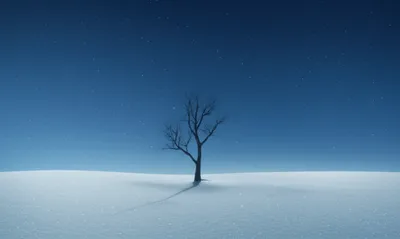 Illustration qt - Image 1