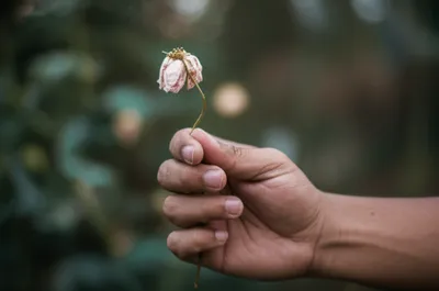 Illustration gripping - Image 1