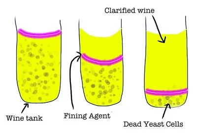 Illustration fine - Image 2