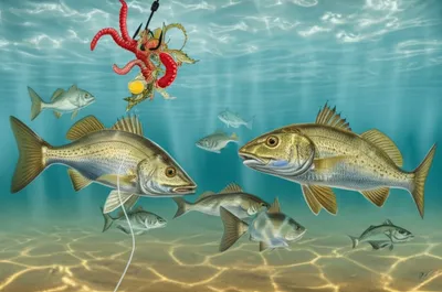 Illustration goodies - Image 1