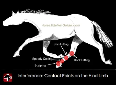 Illustration interfere - Image 2