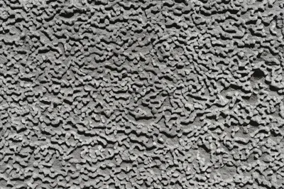 Illustration cranny - Image 1