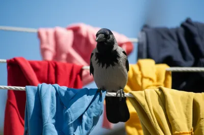 Illustration hoodies - Image 1