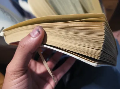 Illustration thumbed - Image 1