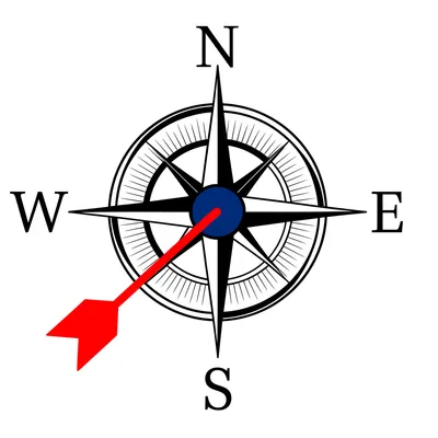 Illustration southern - Image 1