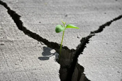 Illustration overpowers - Image 1