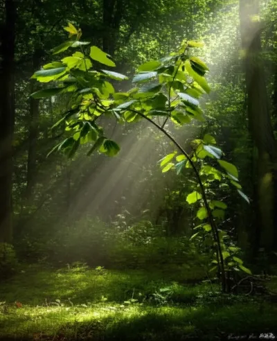 Illustration leaner - Image 2