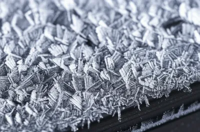 Illustration frost - Image 1