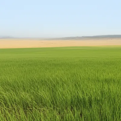 Illustration extending - Image 1