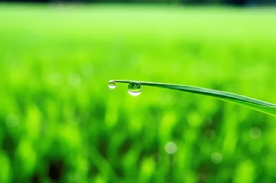 Illustration smallest - Image 1