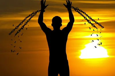 Illustration throws - Image 1