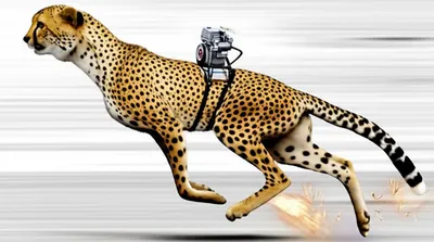 Illustration overclocks - Image 1