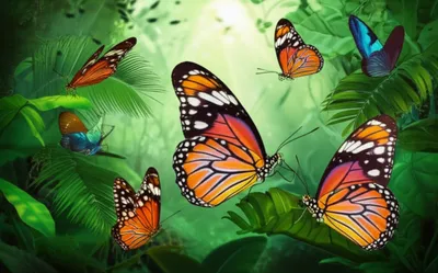 Illustration castor - Image 1