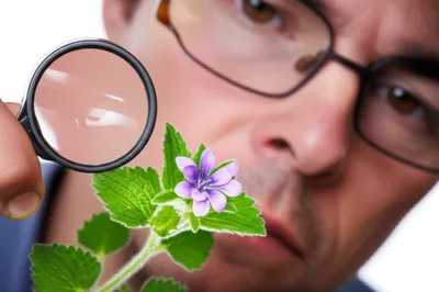 Illustration notes - Image 1