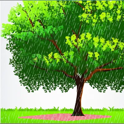 Illustration affording