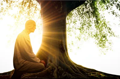 Illustration venerating - Image 1