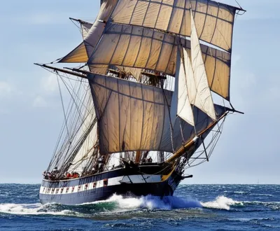 Illustration braces - Image 1