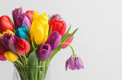 Illustration fade - Image 1