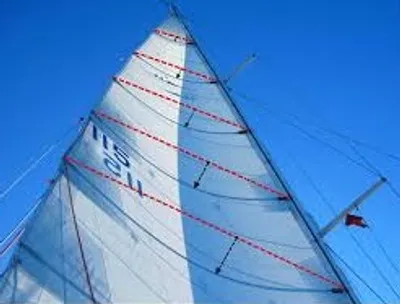 Illustration trim - Image 5