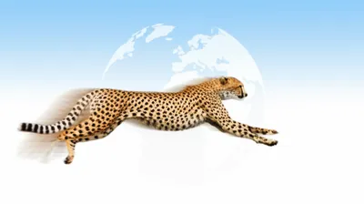 Illustration booking - Image 1