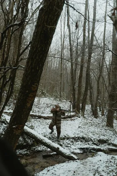 Illustration poaching - Image 2